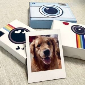 Polaroid Regular (Not Magnetic)